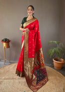 Vibrant Red Color Paithani Silk Saree with Rich Peacock Design on Pallu